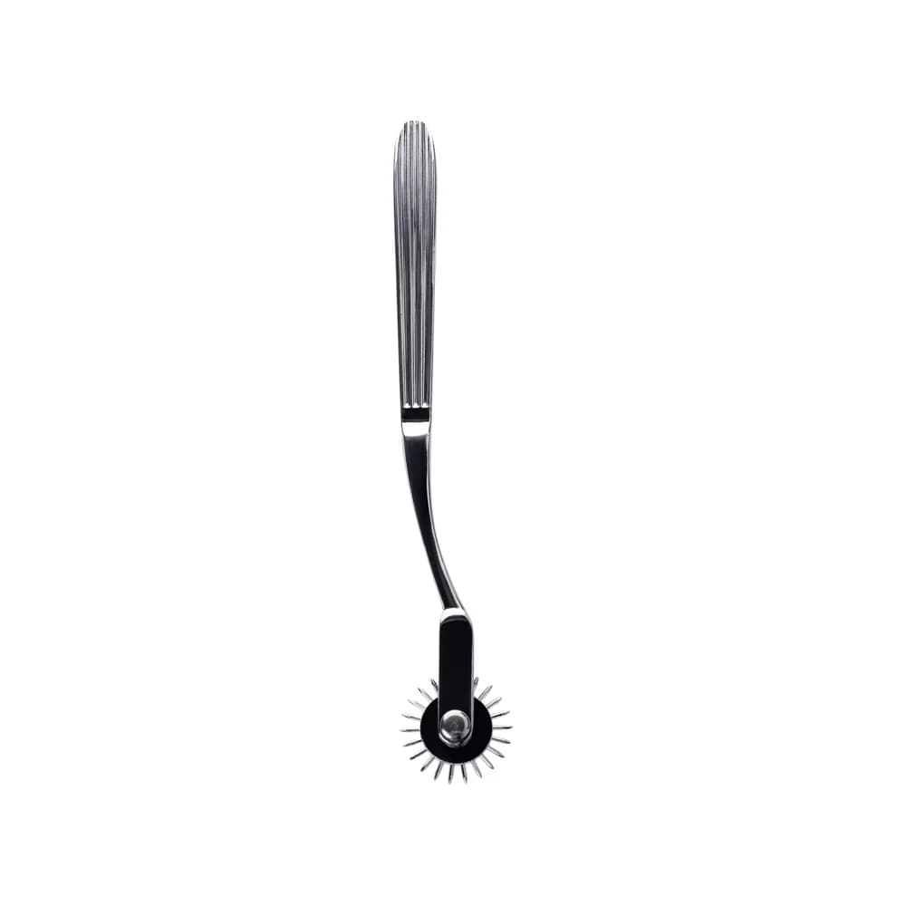 Metal by TOYFA Wartenberg Metal Tekerlekli Duyu Analiz Aleti Gümüş 18.5 cm thumbnail 2