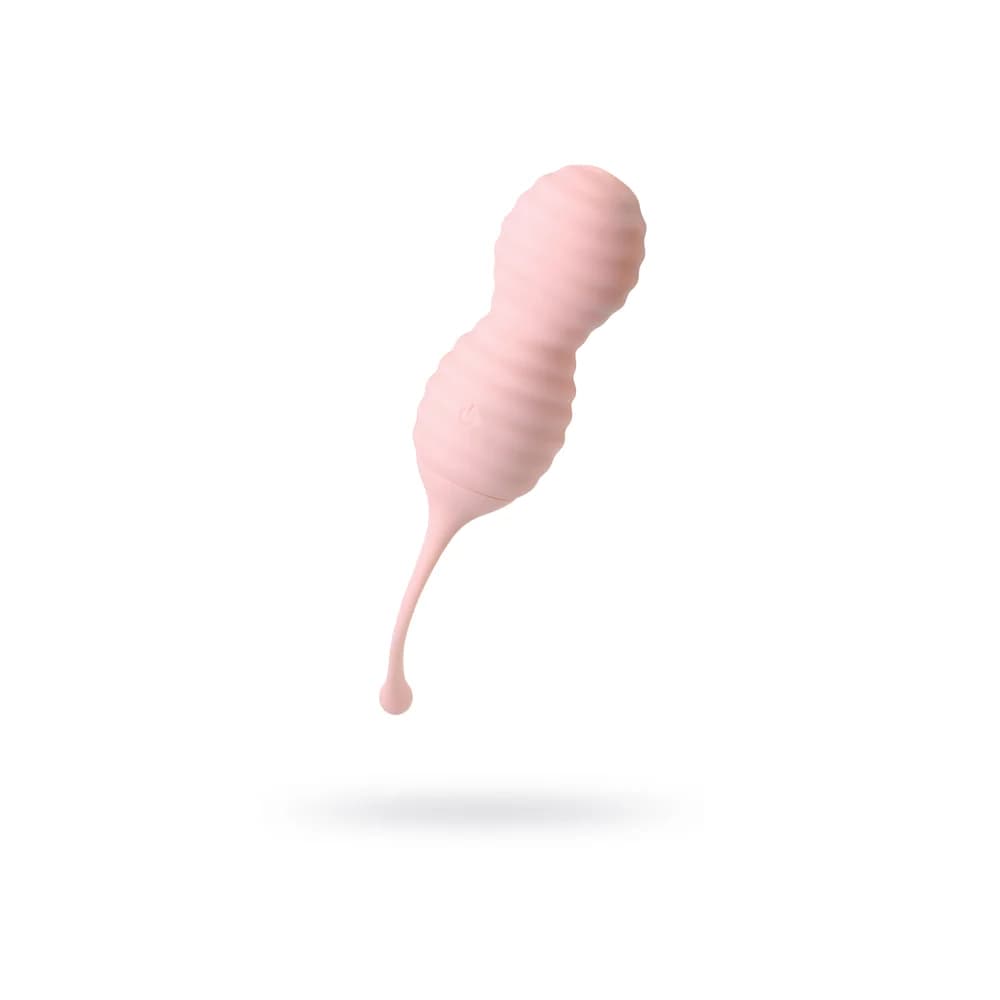 Eromantica Zefyr 2'si 1 Arada Uzaktan Kumandalı Silikon Kişisel Antrenör ve Titreşimli Masaj Cihazı Pembe 17.3 cm